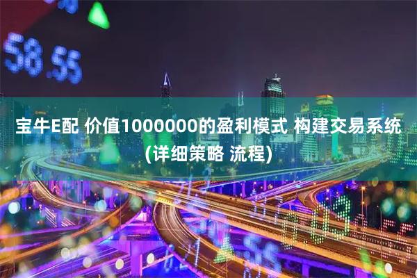 宝牛E配 价值1000000的盈利模式 构建交易系统(详细策略 流程)