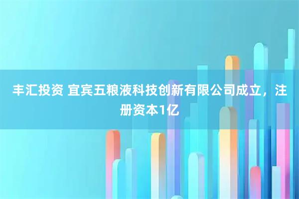 丰汇投资 宜宾五粮液科技创新有限公司成立，注册资本1亿